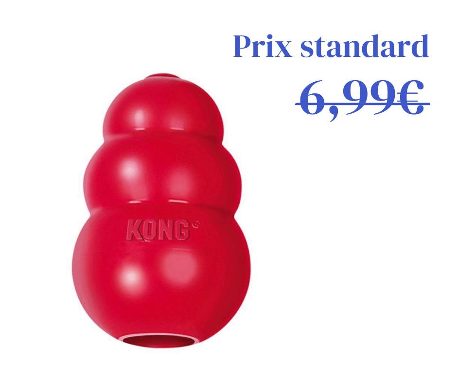 KONG Classic (S à XL)