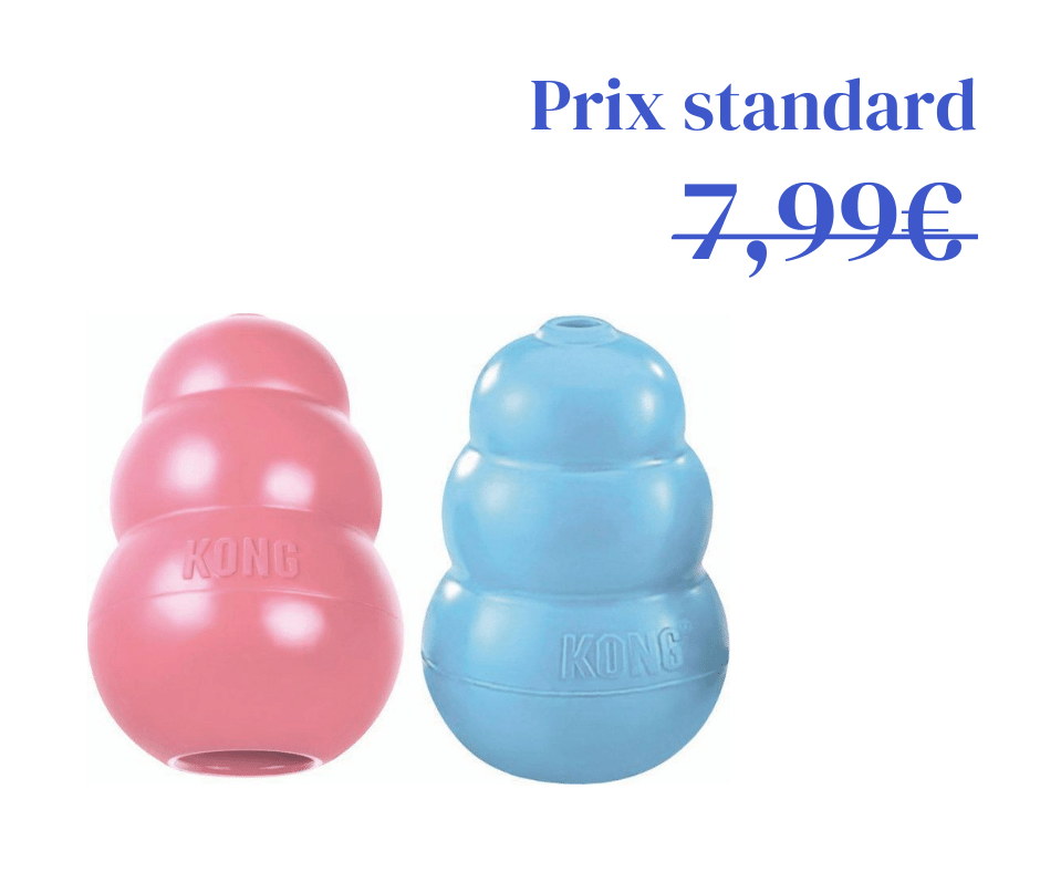 KONG Puppy