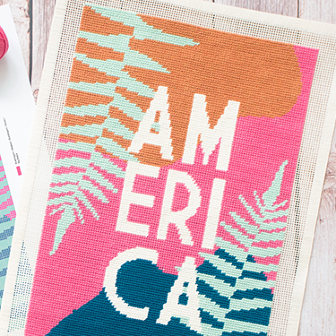 Kit broderie débutant America Petit Point We Are Knitters