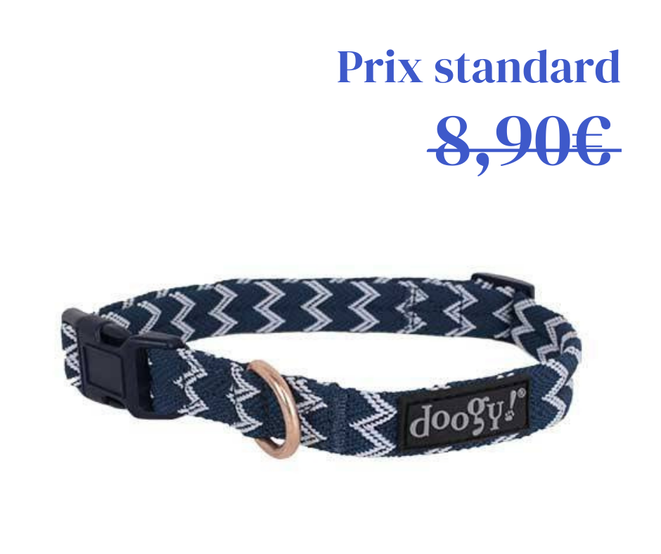 Collier Nylon Brasil Bleu - 3 tailles
