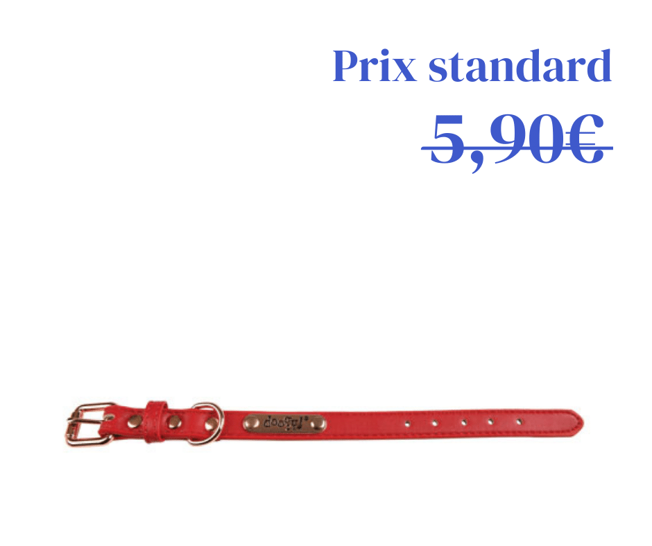 Collier Simili Summer Rouge - 4 tailles