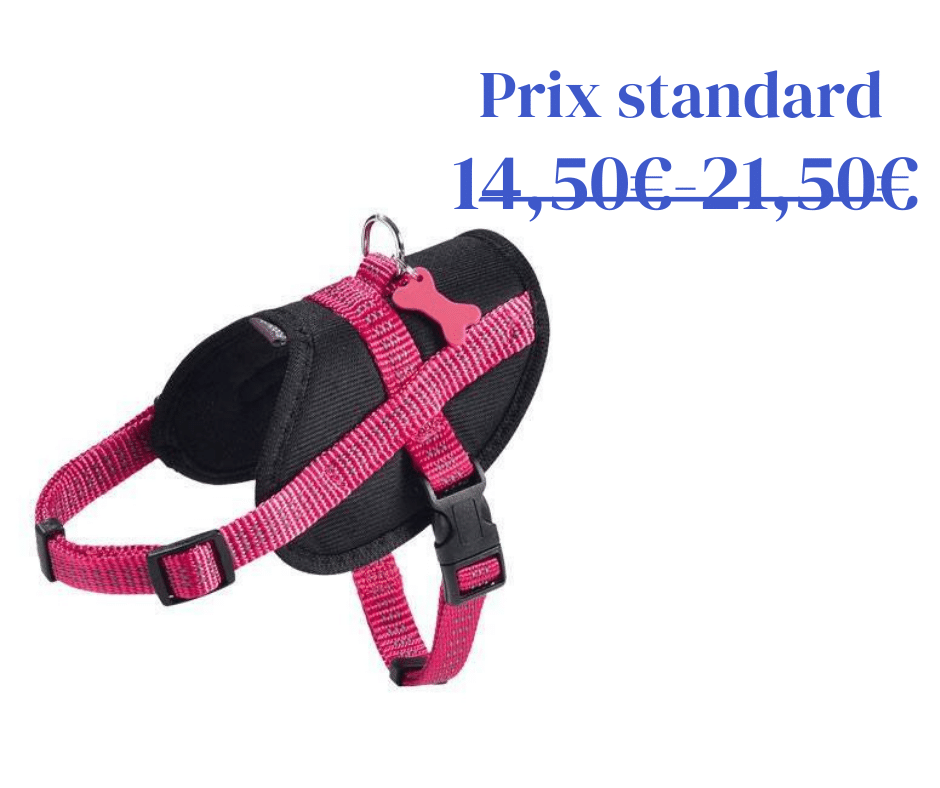 Harnais Easy Safe Fuchsia Bobby - 5 tailles