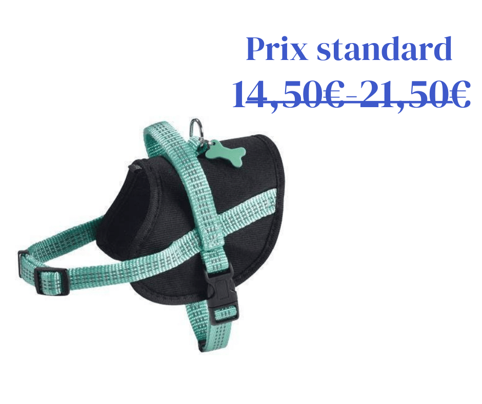 Harnais Easy Safe Lagon Bobby - 5 tailles