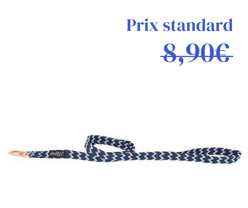 Laisse Nylon Brasil Bleu