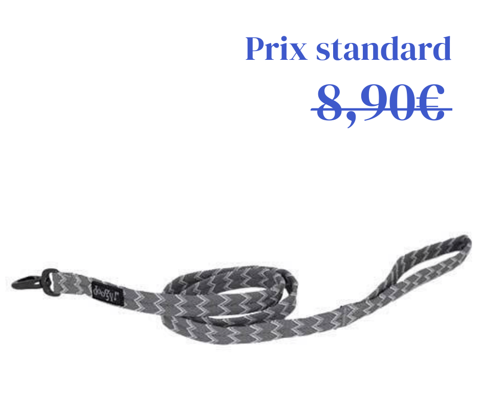 Laisse Nylon Brasil Gris
