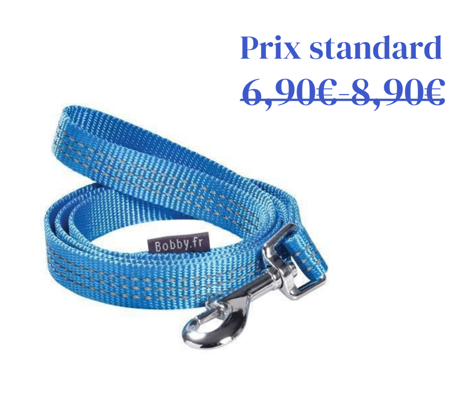 Laisse Safe Bleue Bobby - 2 tailles