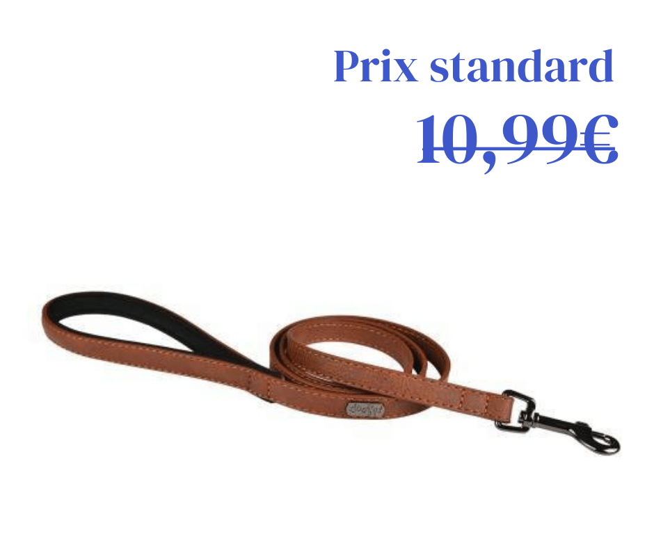 Laisse Simili Basics Marron