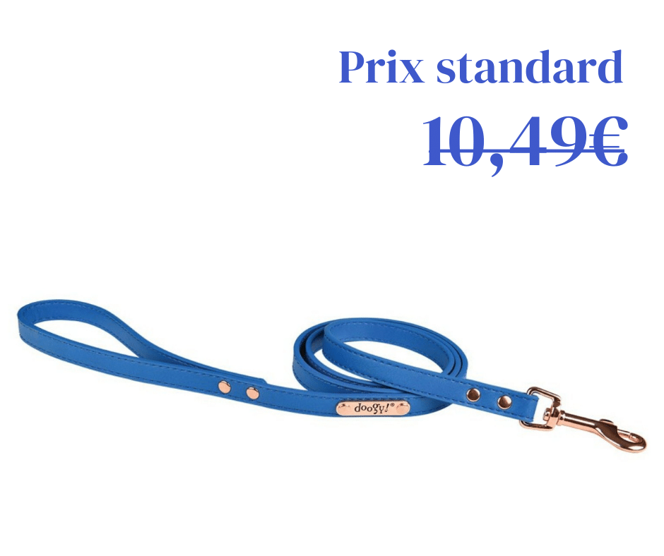 Laisse Simili Summer Bleue