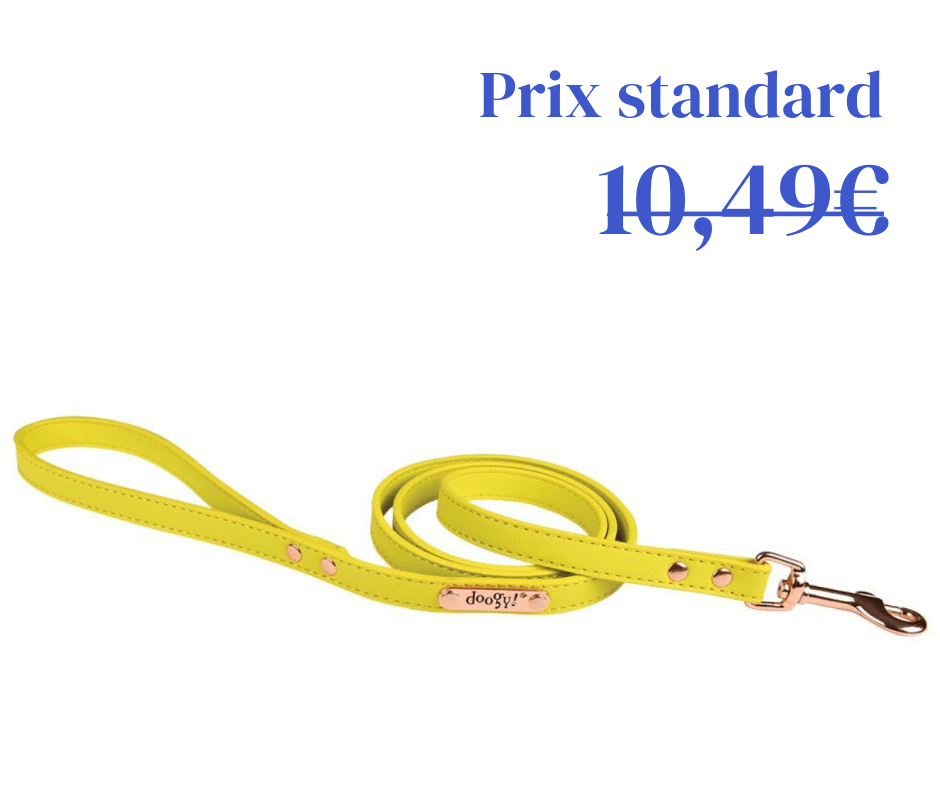 Laisse Simili Summer Jaune
