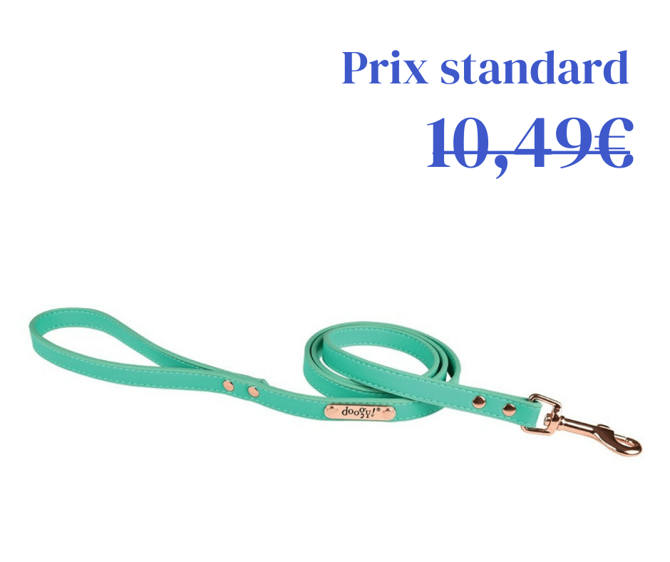 Laisse Simili Summer Vert