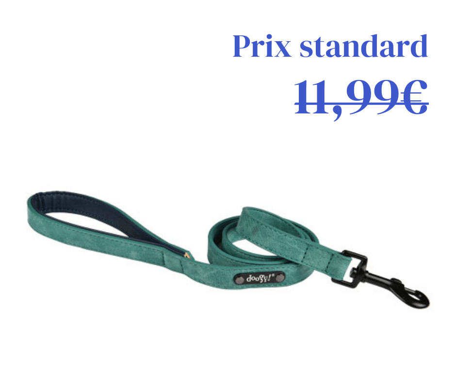 Laisse Simili Sweet Vert