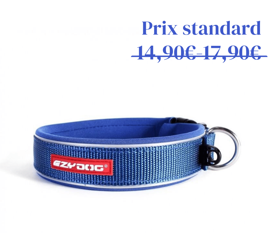 Collier Neo Classic Ezydog - 4 tailles et 4 coloris