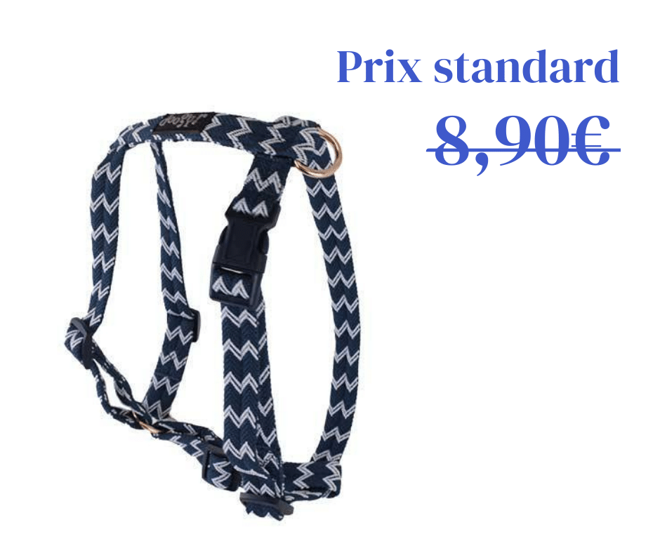 Harnais Nylon Brasil Bleu - 3 tailles