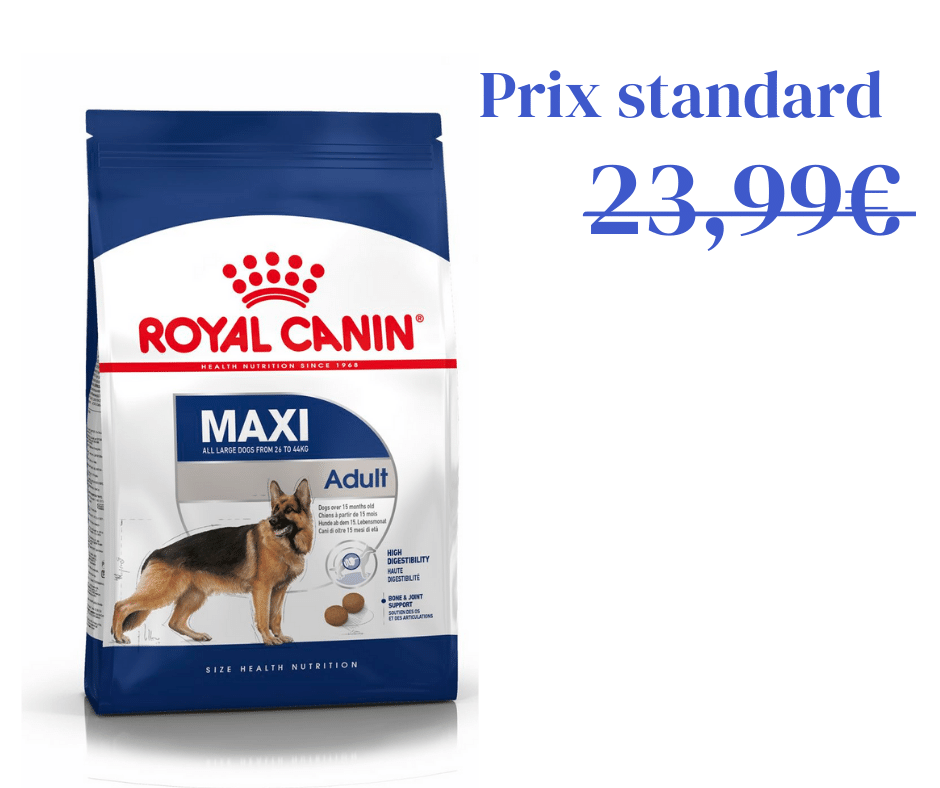 Maxi Adult pour Chien - 4kg