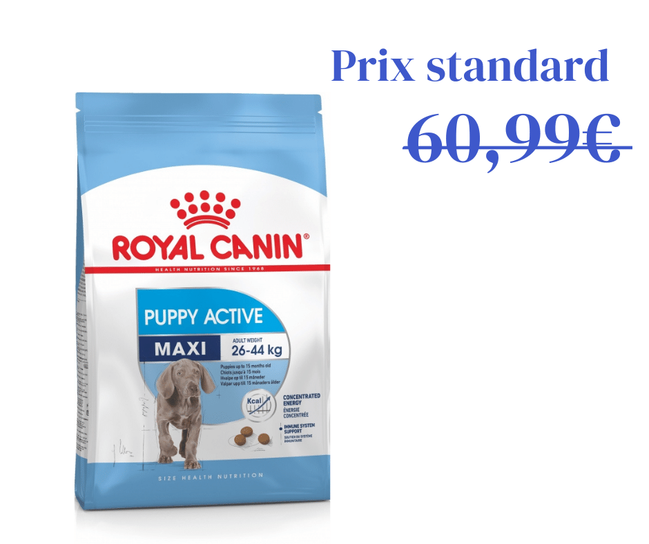 Maxi Puppy Active pour Chiot Actif Grande Taille - 15kg