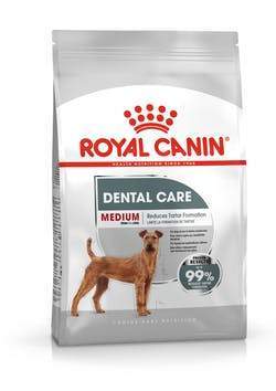 Medium Dental Care pour Chien