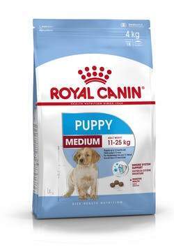 Medium Puppy pour Chien