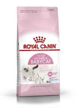 Mother &amp; BabyCat pour Chat