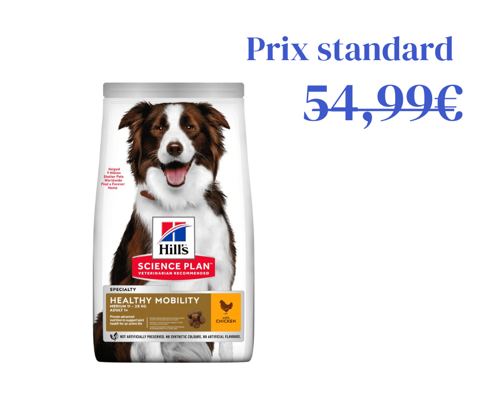 Poulet Mobilité pour Chien Adulte de Taille Moyenne
