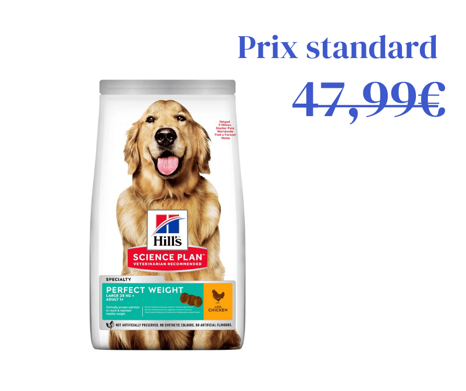 Poulet Poids Idéal pour Chien Adulte de Grande Taille