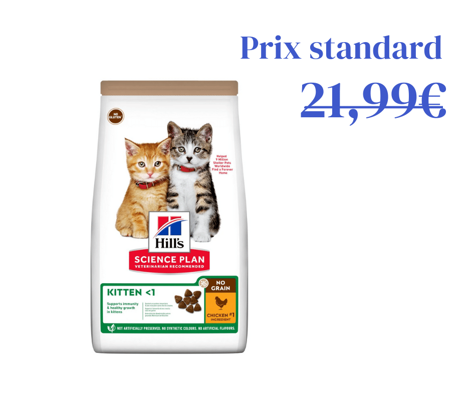 Poulet Sans Céréales pour Chaton