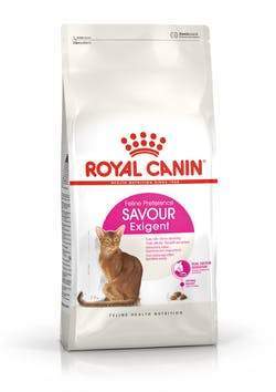 Savour Exigent pour Chat