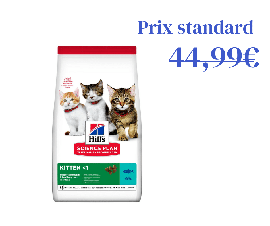 Thon pour Chaton et Chatte en Gestation