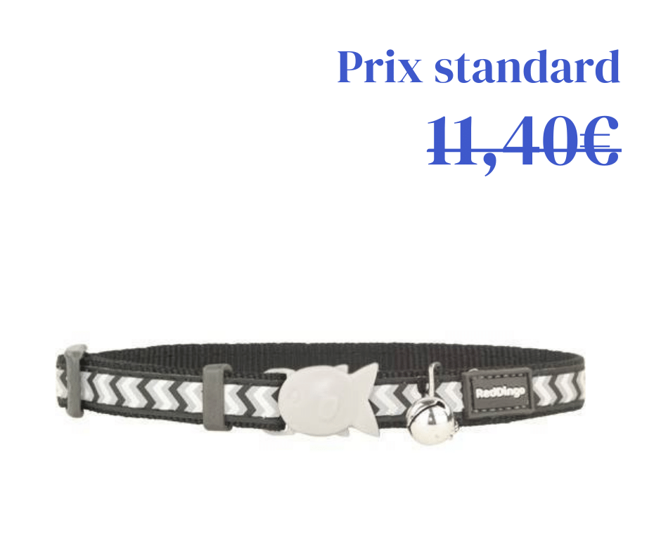 Collier Reflective Ziggy pour chat - 2 coloris