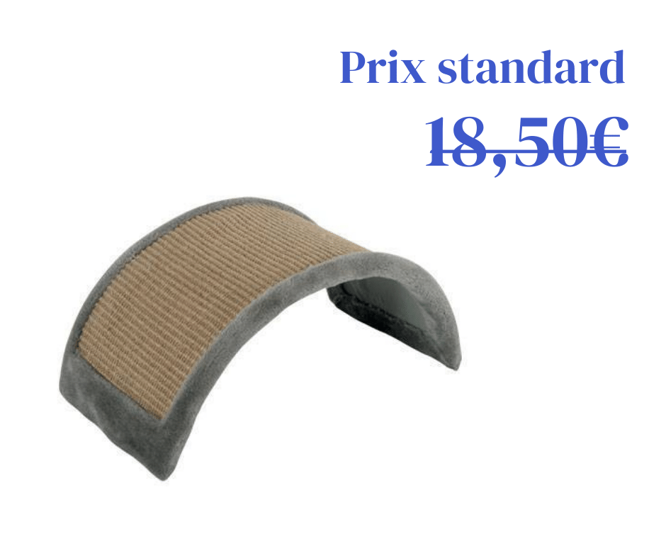 Griffoir Pont pour chat Zolux