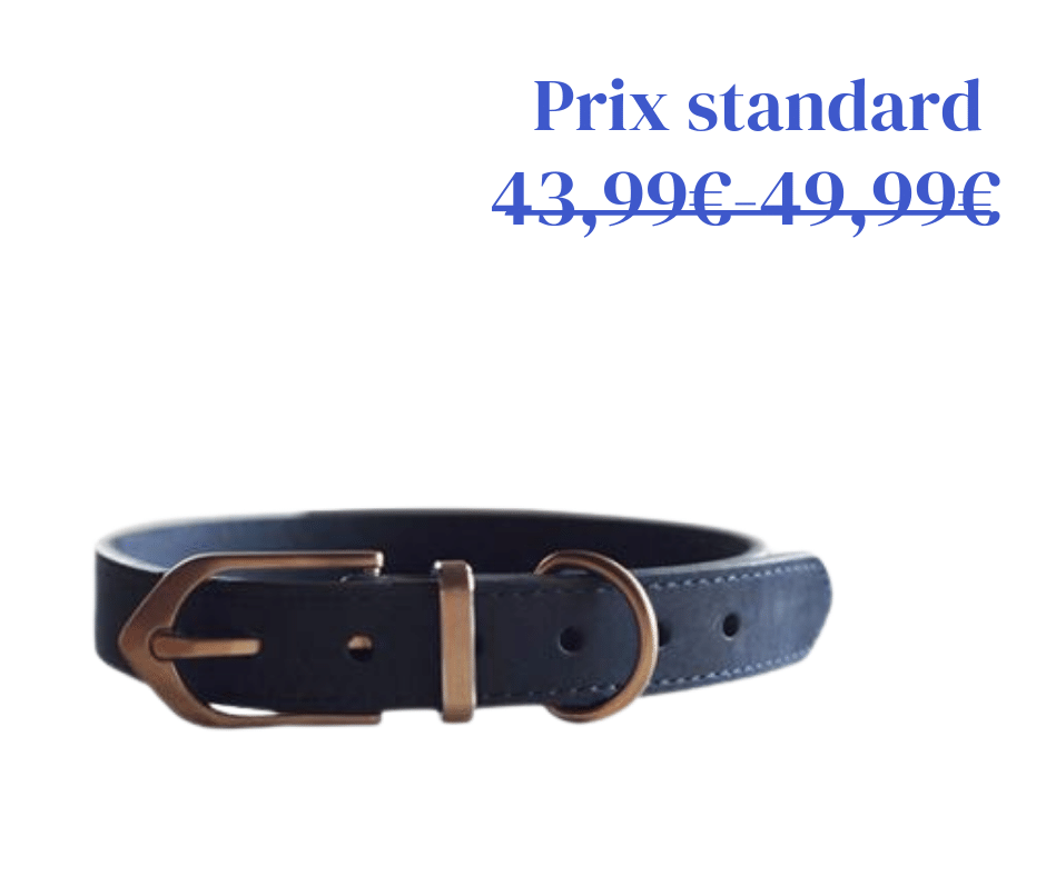 Collier en Cuir Classique Bleu Nuit - 2 tailles