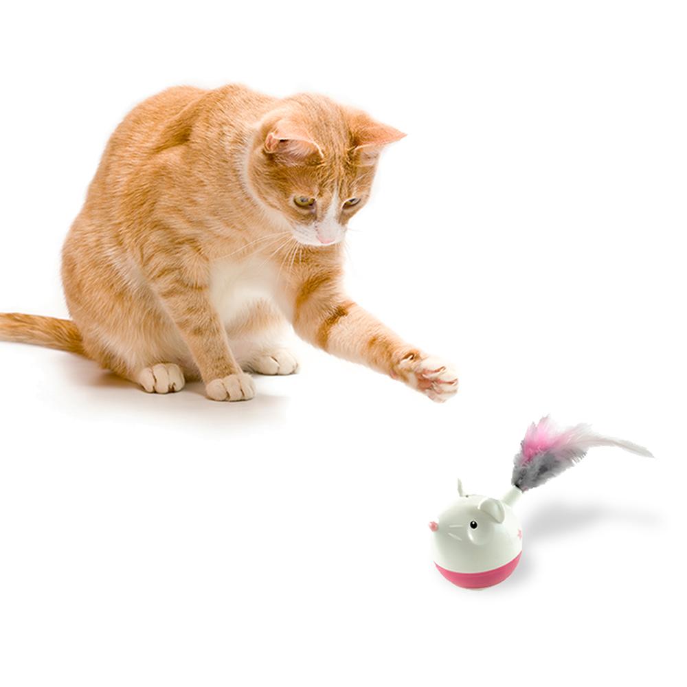 Hunt'N'Swat - pour chat