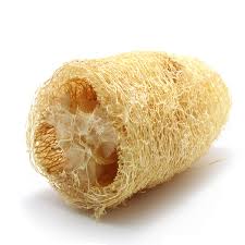 Eponge naturelle et végétale écologique luffa NABAO