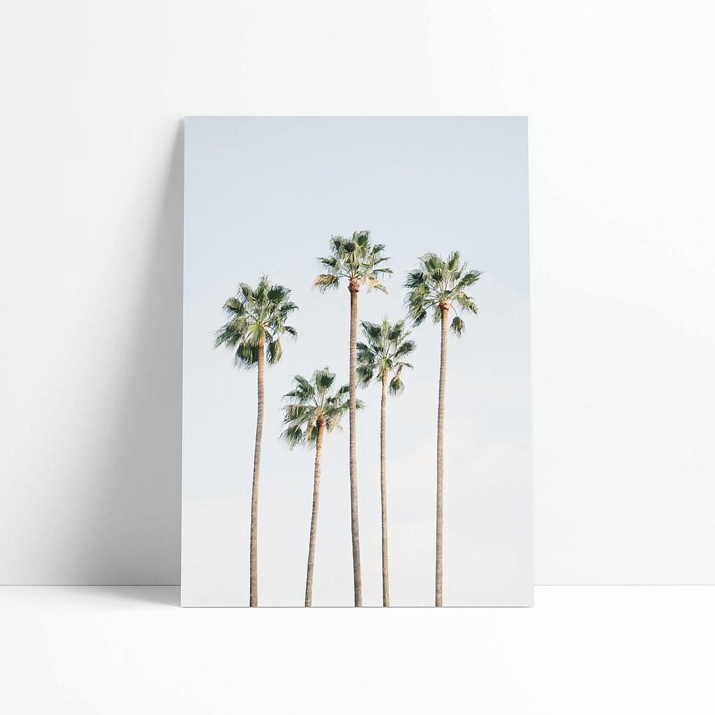 Affiche Regal Palm Trees 30x40cm | David &amp; David Studio