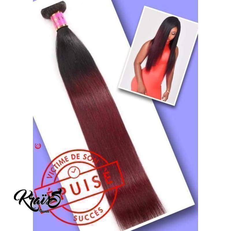 Meche Brésilienne Lisse Ombrée 1B/99j
