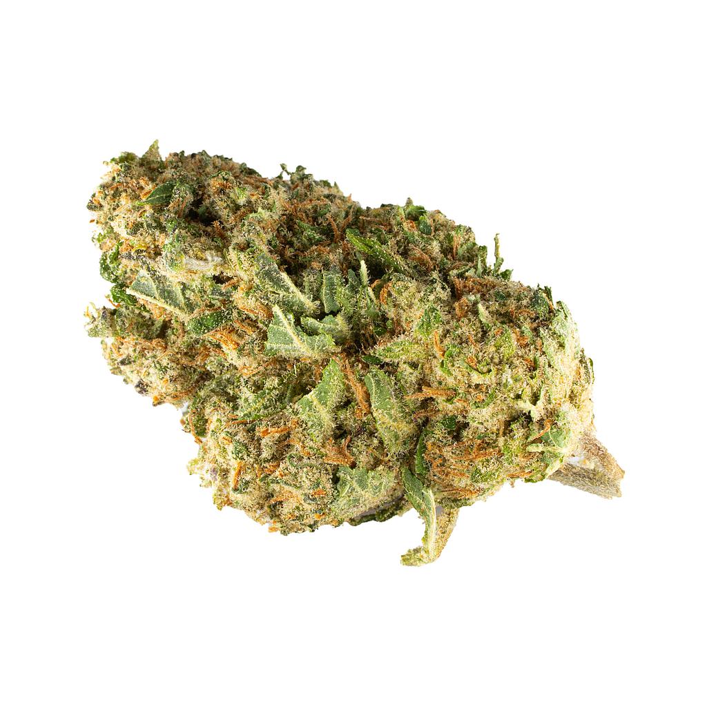 Amnesia indoor 14,5%