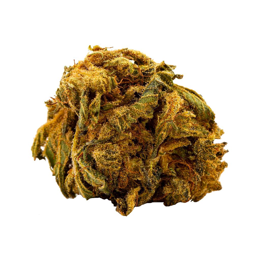 Chocolope Kush green house 15%