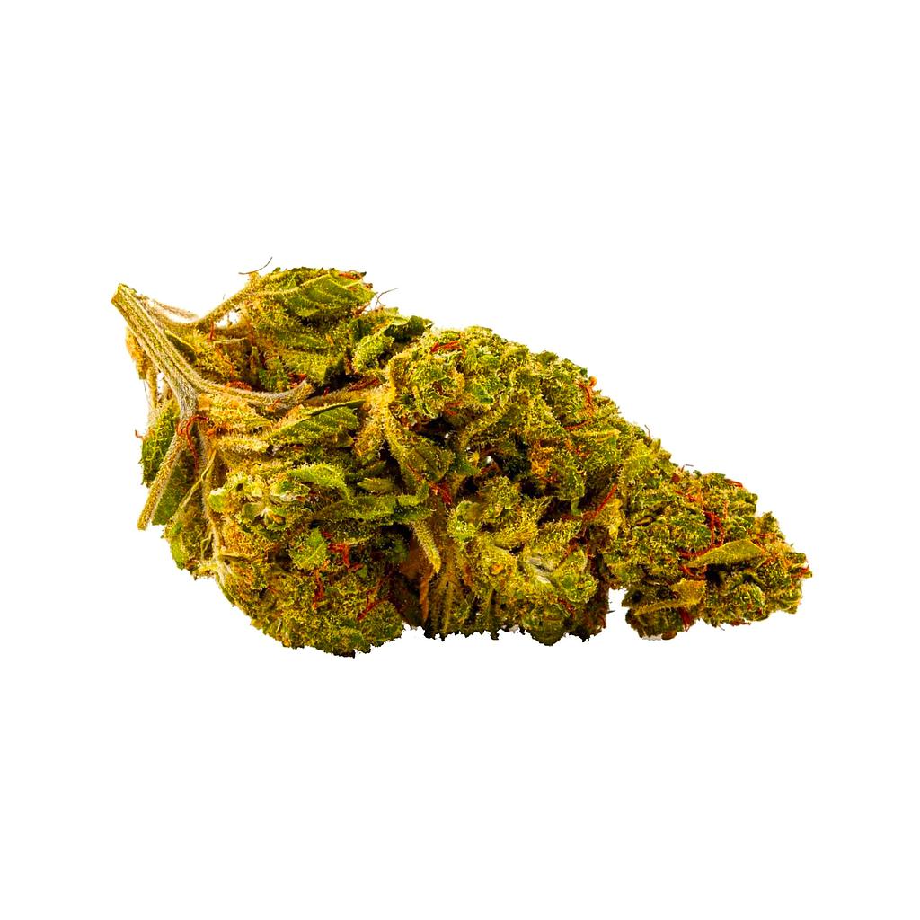 Super Lemon Haze indoor 21,5%