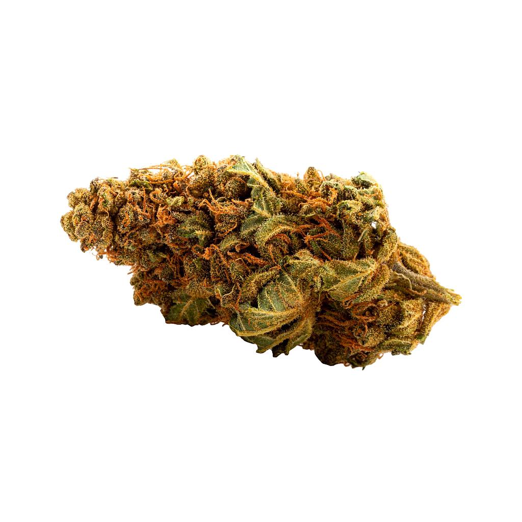 Mango Haze indoor 14,5%