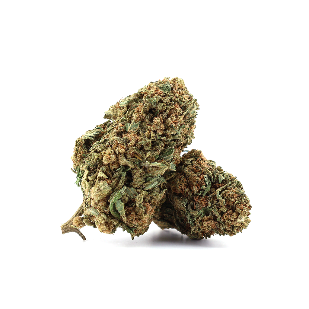 Hyper Queen outdoor 13,5%
