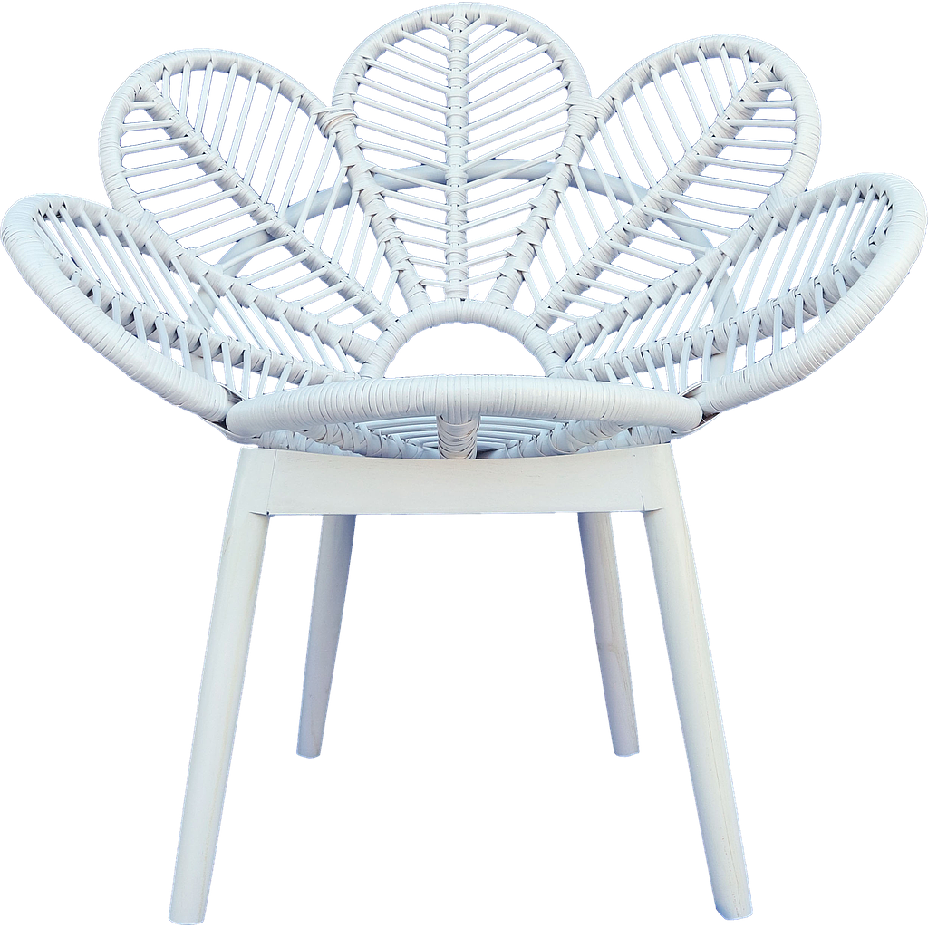 Chair Peacock White