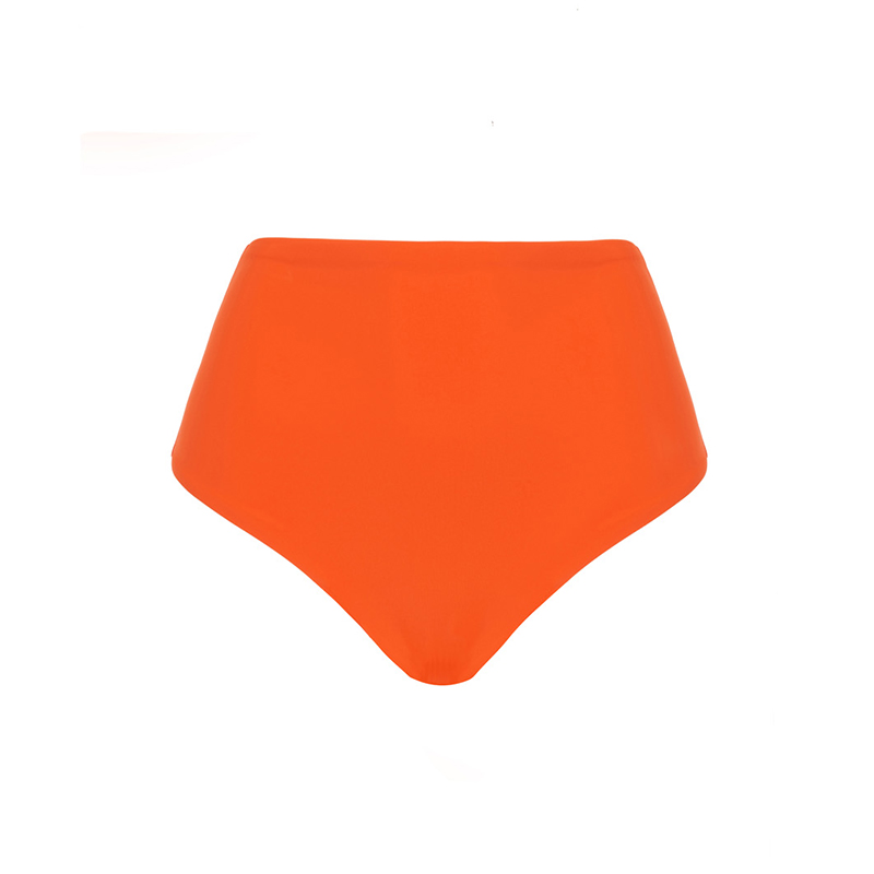 The High Waist Brief