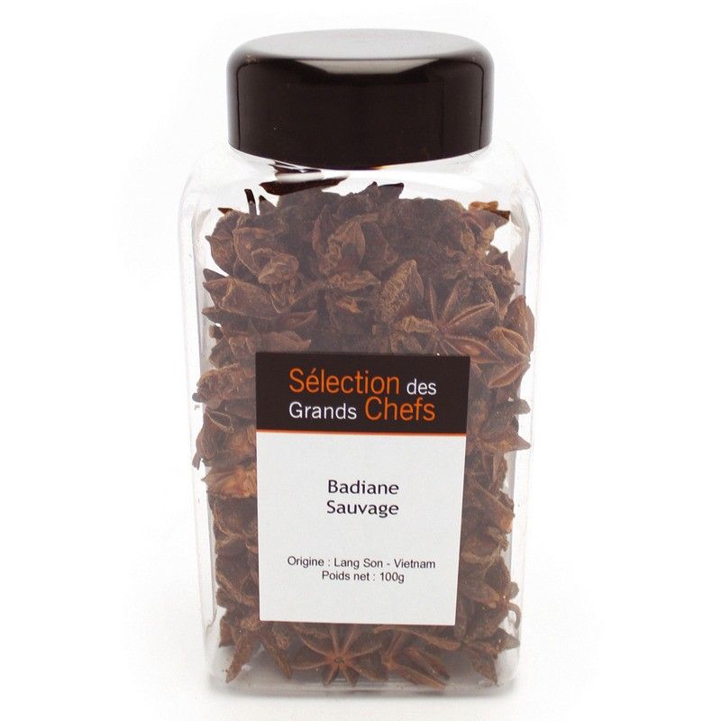 Badiane sauvage de Lang Son Vietnam - 100g