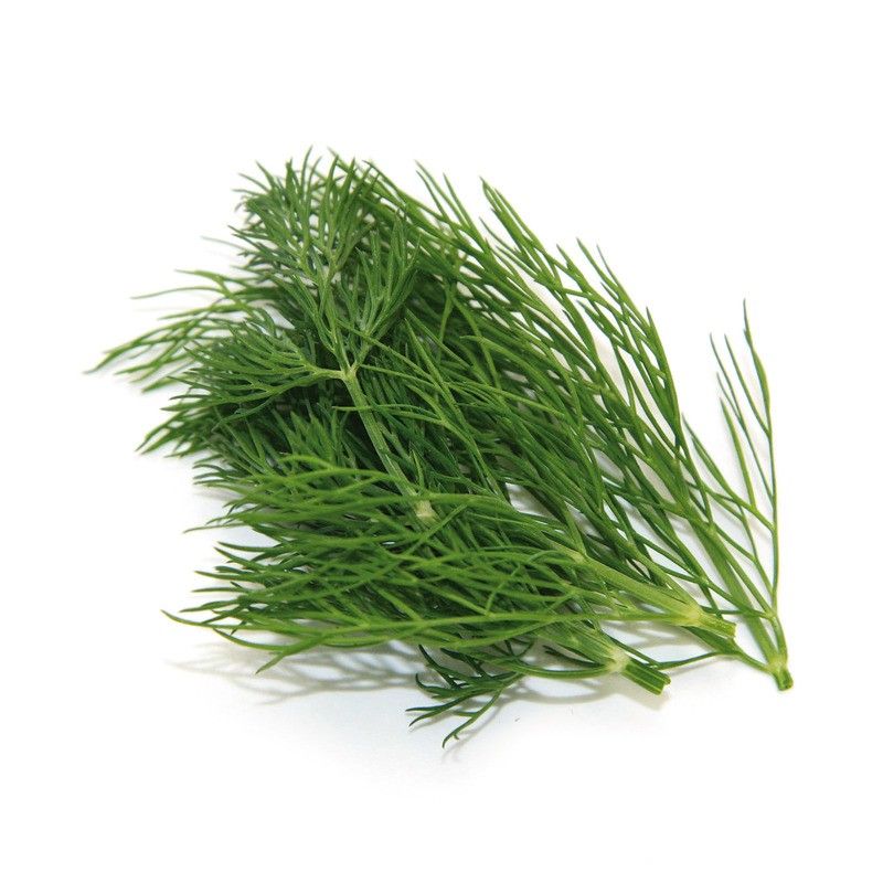 Aneth - 25g