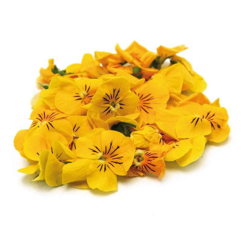 Fleurs de pensée jaunes extra origine France - 10g
