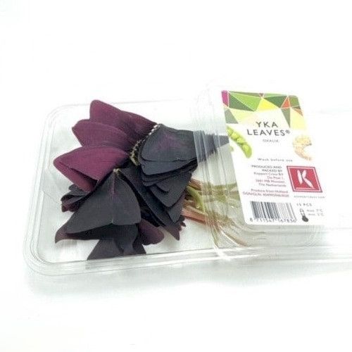 Yka Leaves (Oxalis) Cress - 35g