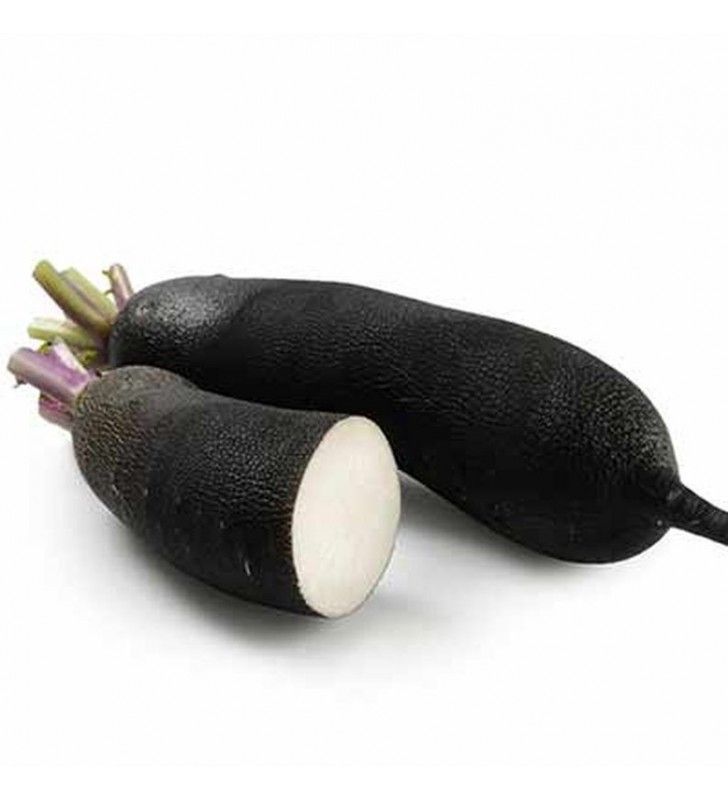 Radis noir extra ±300g