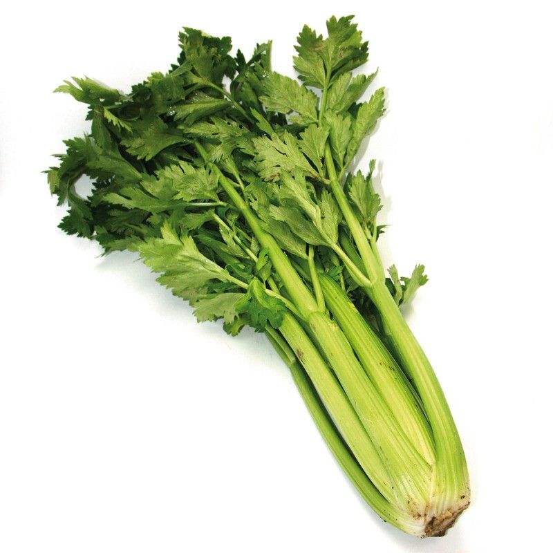 Céleri branche - 1kg