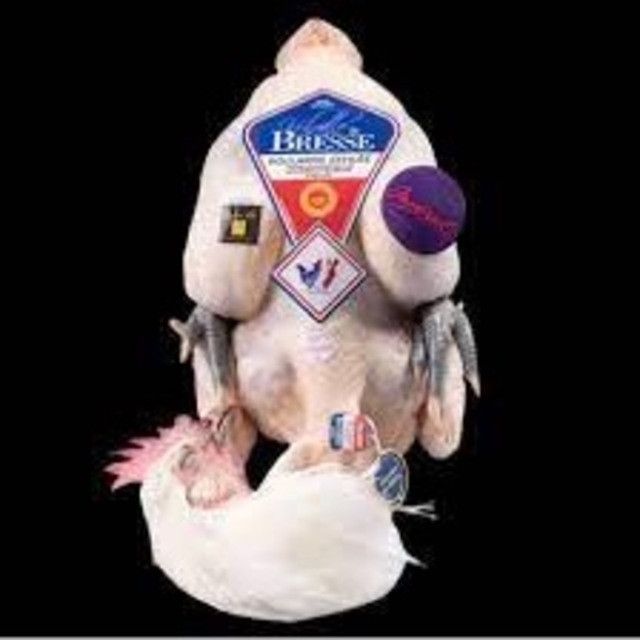 Poularde de Bresse AOP ±2kg