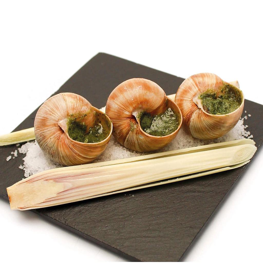 Escargots de Bourgogne belle grosseur x48 - 392g