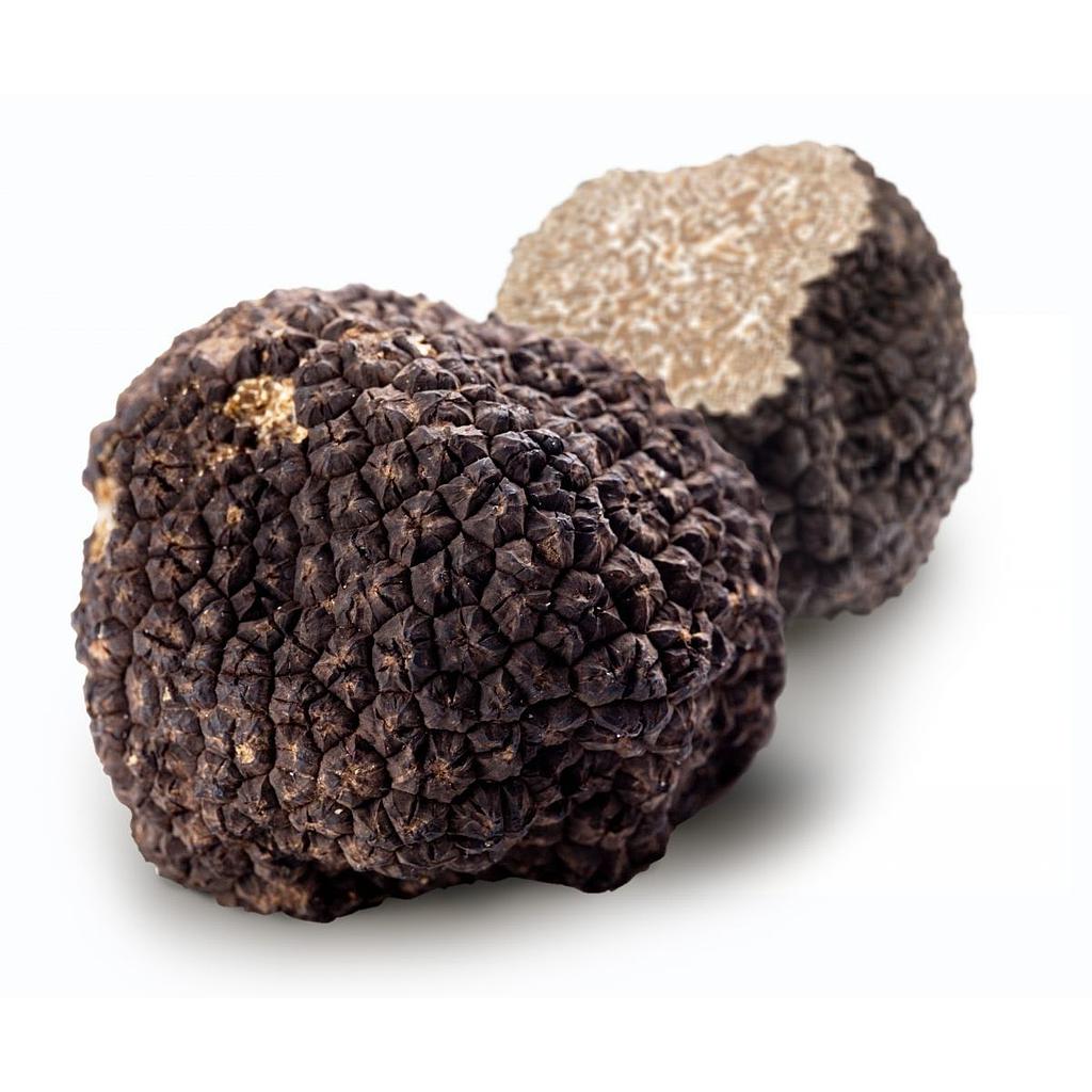 Truffe d'été fraîche Tuber Aestivum Vitt - 50g